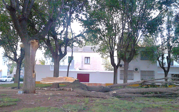 Tormenta 31 julio