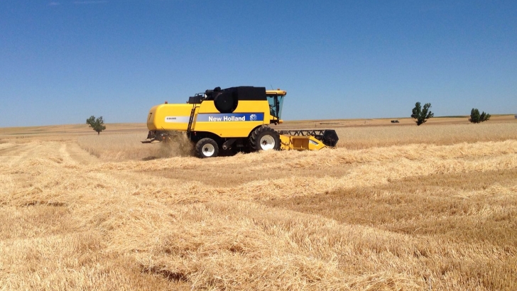 Cooperativas: Se estima una cosecha de cereales en Castilla-La Mancha con excelentes rendimientos que superará los 5 millones de toneladas