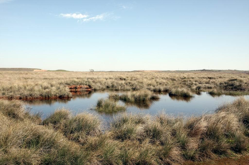 Microreserva de los Albardinales