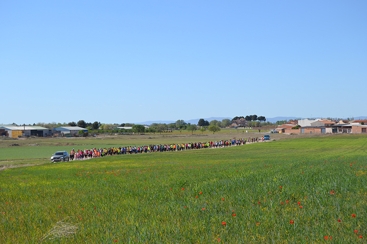 Más de 300 participantes avalan un nuevo éxito en la VI Ruta presencial Actívate en Familia de Senderos Koreanos